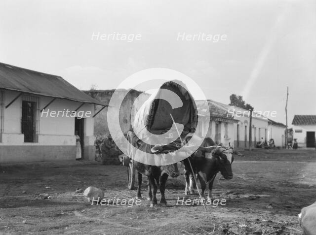 Travel views of Cuba and Guatemala, between 1899 and 1926. Creator: Arnold Genthe.
