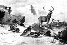 The Haunt of the Ptarmigan, 1898. Creators: Unknown, Henry Stannard.