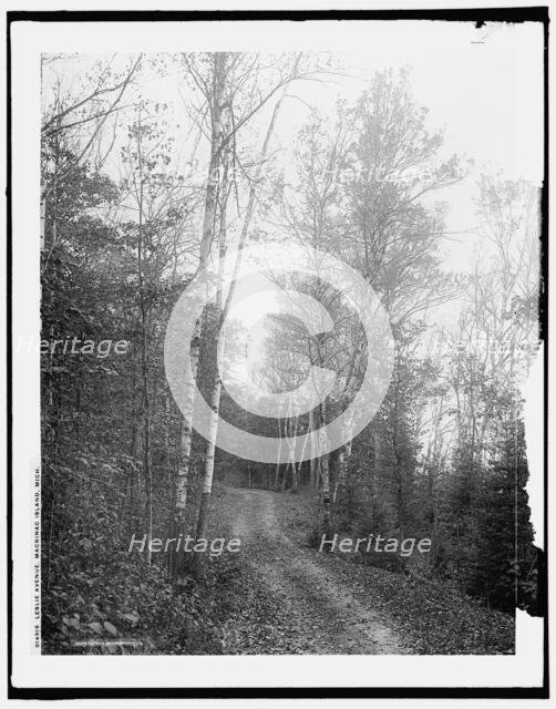 Leslie Avenue, Mackinac Island, Mich., c1902. Creator: William H. Jackson.