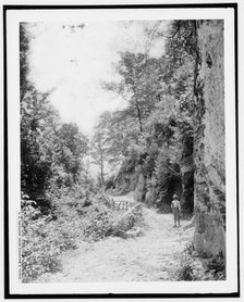 A mountain road, Sapphire, N.C., (1902?). Creator: William H. Jackson.