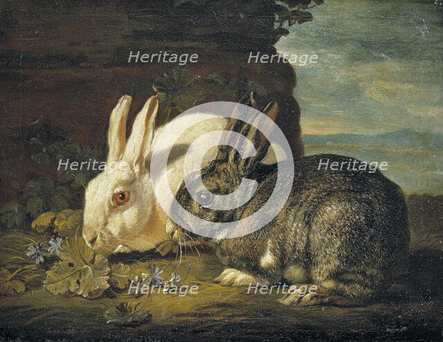 Two Rabbits, Detail from "Animal Piece", mid-late 17th century. Creator: David de Coninck.