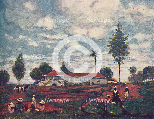 'A Coffee Fazenda', 1916. Artist: A S Forrest.