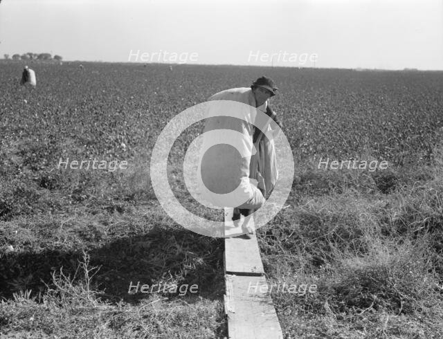 Cotton picker, San Joaquin Valley, California, 1936. Creator: Dorothea Lange.