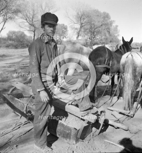 A new start, Bosque Farms project, New Mexico, 1935. Creator: Dorothea Lange.