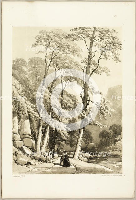 Sycamore, from The Park and the Forest, 1841. Creator: James Duffield Harding.