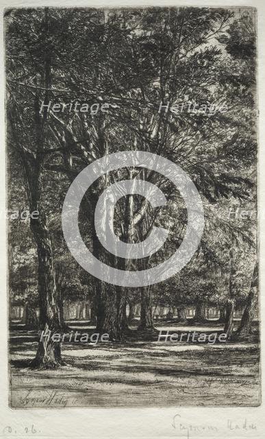 Kensington Gardens (The Larger Plate), 1860. Creator: Francis Seymour Haden (British, 1818-1910).