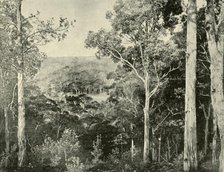 'The Blue Mountains', 1901. Creator: Unknown.
