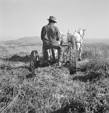 Mr. Roberts, FSA borrower, Owyhee project, Malheur County, Oregon, 1939. Creator: Dorothea Lange.