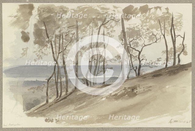 Group of trees on a slope near Hallgarten, the Rhine and a ridge in the background, 1845. Creator: Carl Theodor Reiffenstein.