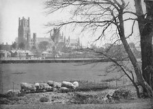 'Ely Cathedral', c1896. Artist: GW Wilson and Company.
