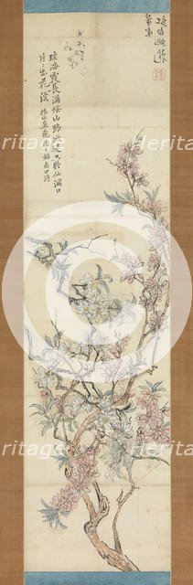 Red and White Peach Blossoms, Preparatory Sketch, 1843. Creator: Tsubaki Chinzan.