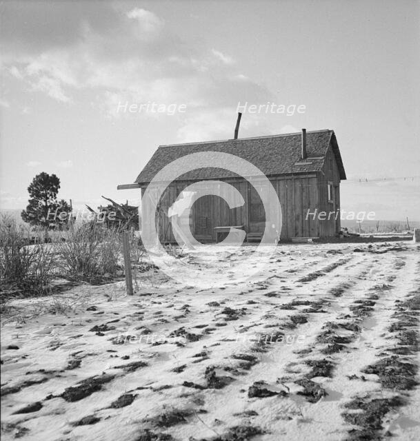 Widtsoe farm home, Resettlement Administration purchase, Utah, 1936. Creator: Dorothea Lange.
