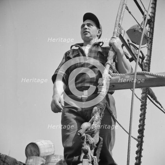 Gloucester fisherman standing in the rigging of a New England fishing boat, New York, 1943. Creator: Gordon Parks.