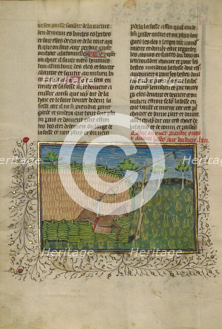 A Deer Wounded by a Spring Trap; Livre de la Chasse, about 1430-1440. Creator: Unknown.