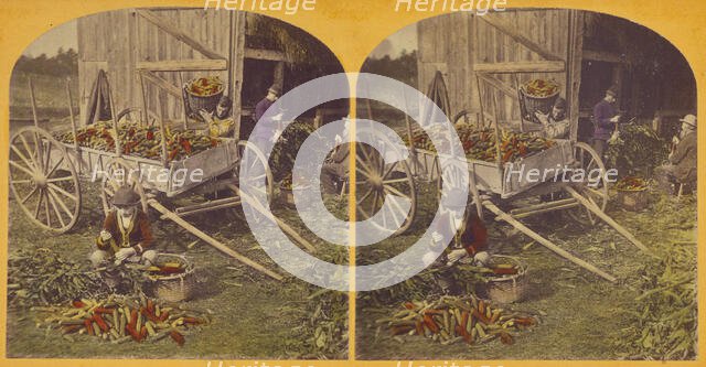 Husking Scene., about 1870-1880. Creator: Unknown.