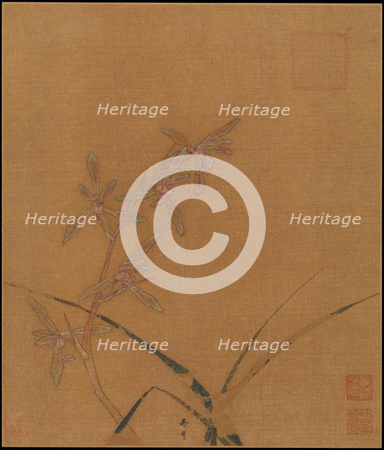 Orchids, second quarter of the 13th century. Creator: Ma Lin.