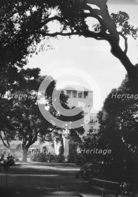 Del Monte, California views, 1927 Creator: Arnold Genthe.