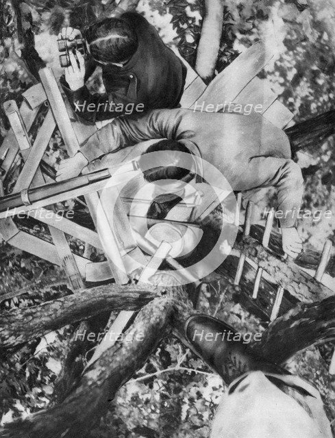 Observation post in a tree, Woevre, France, World War I, c1914. Artist: Unknown