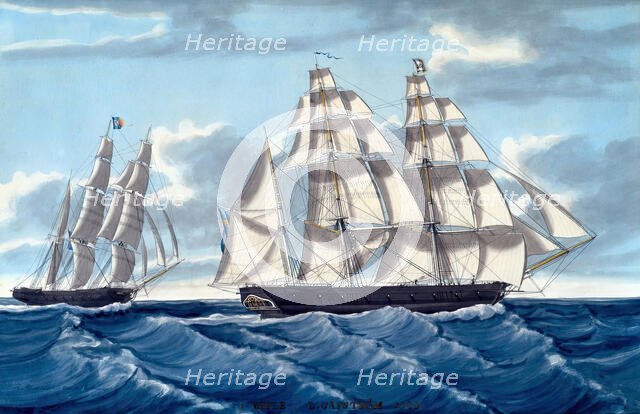 Bark Iris, 1844. Creator: Dirk Antoon Josephus Franciscus Topke.