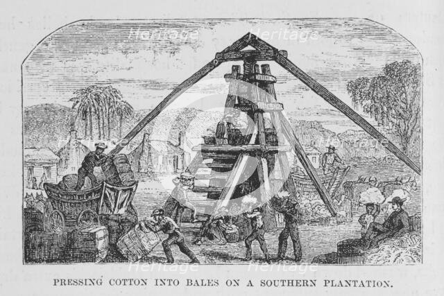 Pressing cotton into bales on a southern plantation, 1882. Creator: Unknown.
