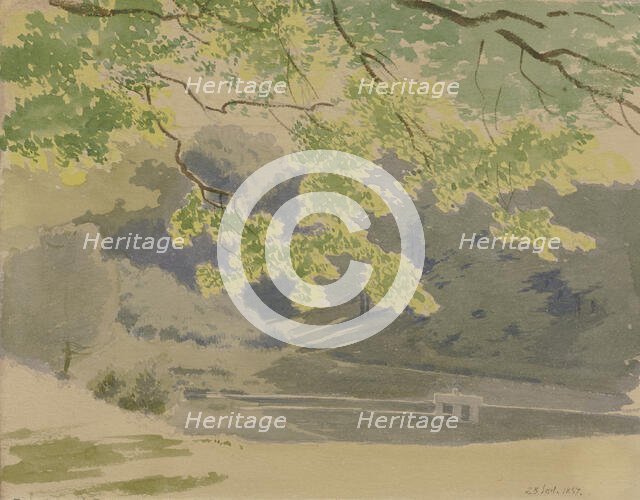 Forest section, 1857. Creator: Carl Theodor Reiffenstein.