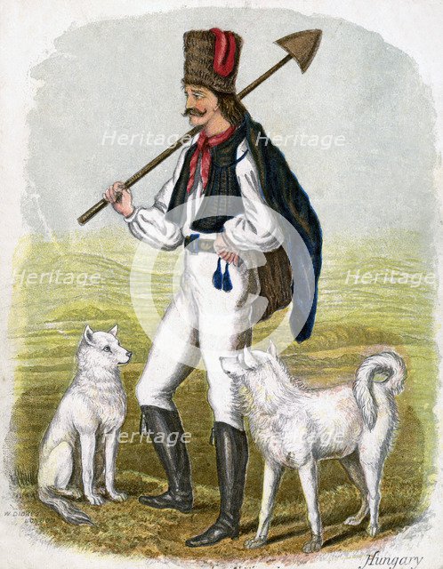 'Hungarian Man with Dogs', 1809.Artist: W Dickes