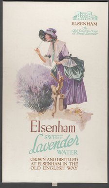 Elsenham Lavender, 1920s. Artist: Wilfred Fryer
