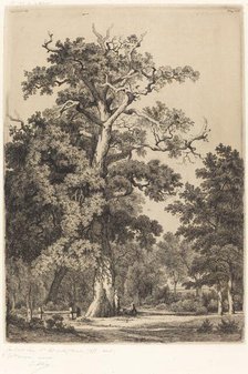 Ancient Oak in the Bois de Boulogne, 1855. Creator: Eugene Blery.