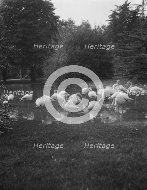 Travel views of Europe, between 1904 and 1938. Creator: Arnold Genthe.