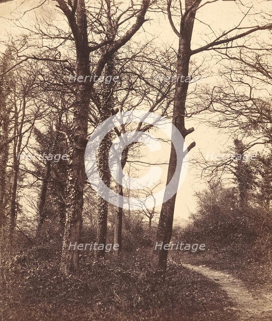 Winter, 1855. Creator: Charles Conway.