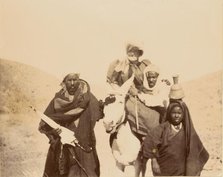 Men with woman riding mule, about 1860-1880. Creator: Unknown.