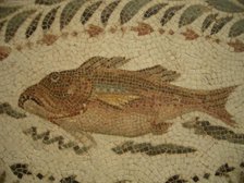 Mosaic, El Jem Museum, El Djem, Tunisia, 2009. Creator: Amanda Waite.