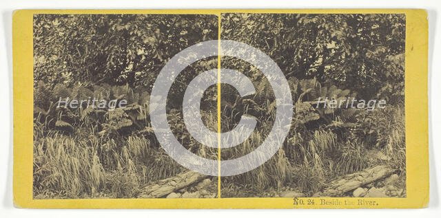 Beside the River, 1868/69. Creator: Whiting Bros.