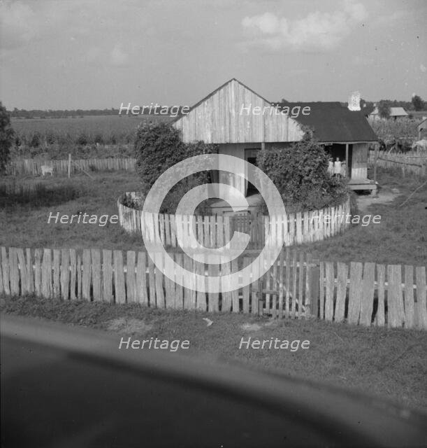 Cabin of sugarcane worker, Bayou La Fourche, Louisiana, 1937. Creator: Dorothea Lange.