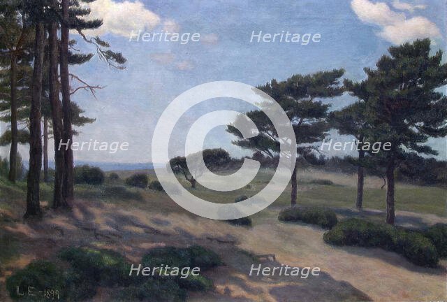 Landscape from Hvaler, 1899. Creator: Lars Martin Eriksen.