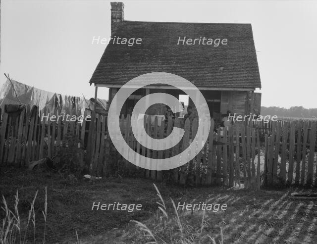 House on a cotton plantation in the Louisiana delta, 1937. Creator: Dorothea Lange.
