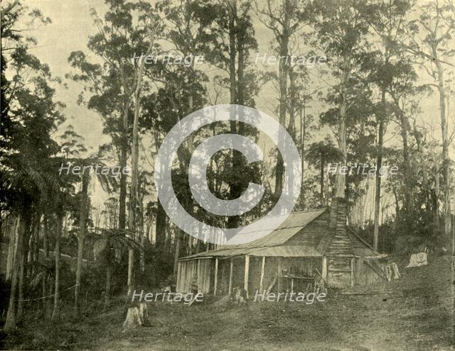 'A Rustic Dwelling', 1901. Creator: Unknown.