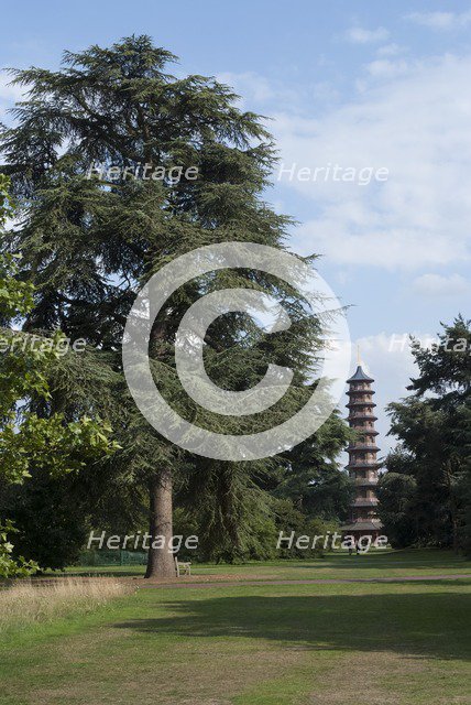 UK, London, Kew Gdns, 2009. Creator: Ethel Davies.