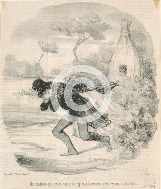 Un monsieur qui voulu étudier ... les moeurs ... des abeilles, 19th century. Creator: Honore Daumier.