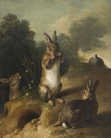 Rabbits, between 1720 and 1729. Creator: Alexandre François Desportes.
