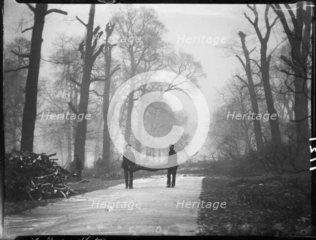 Kensington Gardens, Hyde Park, City of Westminster, London, 1907. Creator: Katherine Jean Macfee.