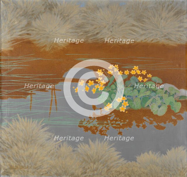 Marsh Marigolds. Creator: Lindh, Bror (1877-1941).