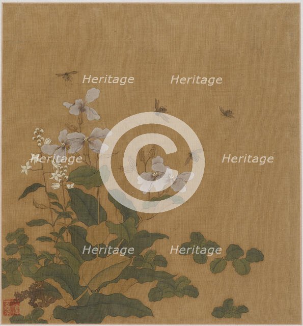 Bees hovering over flowers, Qing dynasty, 18th century. Creator: Unknown.