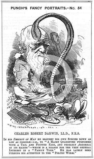Charles Darwin, English naturalist, 1881. Artist: Edward Linley Sambourne