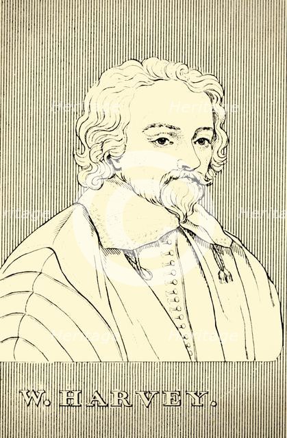 'W. Harvey', (1578-1657), 1830. Creator: Unknown.