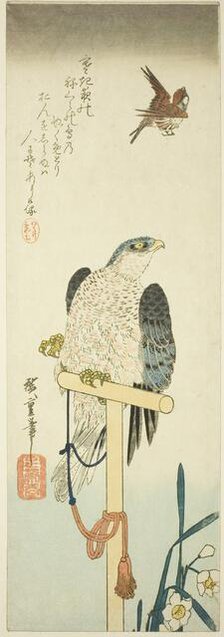 Falcon, sparrow, and narcissus, 1830s. Creator: Ando Hiroshige.