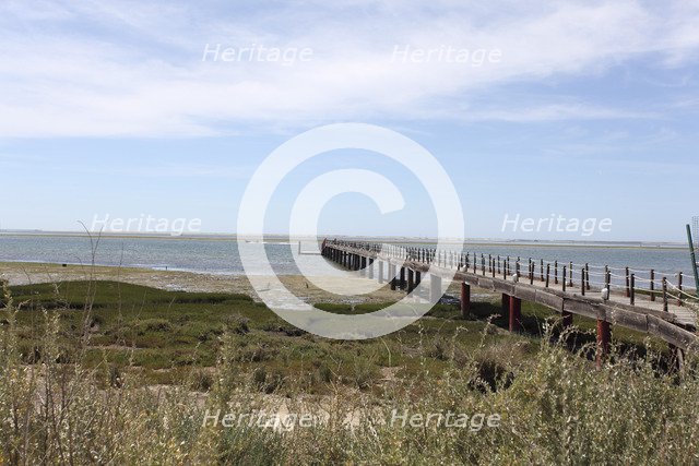 Olhao Bird Reserve, Olhao, Portugal, 2009. Artist: Samuel Magal