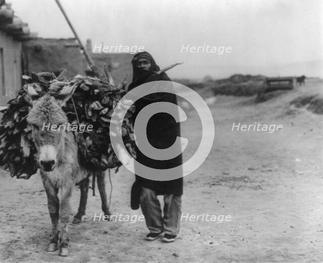 A load of fuel-Zuni, c1903. Creator: Edward Sheriff Curtis.