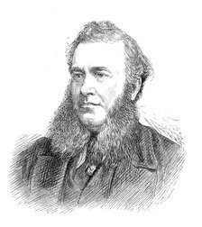 Members of the new House of Commons: Mr. W. Davies (Pembrokeshire), 1880. Creator: Unknown.