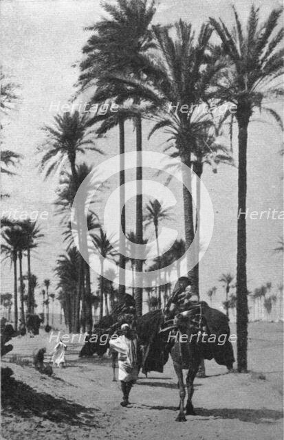 ''Types d'Arabes de la Tripolitaine; Le Nord-Est Africain', 1914. Creator: Unknown.